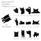 Wrapables Magnetic Black Cat Bookmarks, Page Marker, Foldable Cat Page Clips (Set of 24)